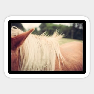 Windswept Mane Sticker